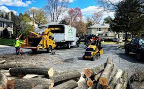 Artificial Turf Installation in Middleton, WI